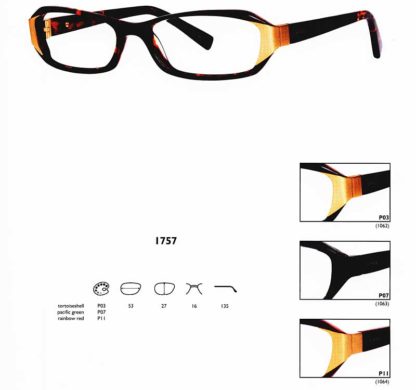 1757 53-16/135 P03 TORTOISESHELL - JAI KUDO 1062